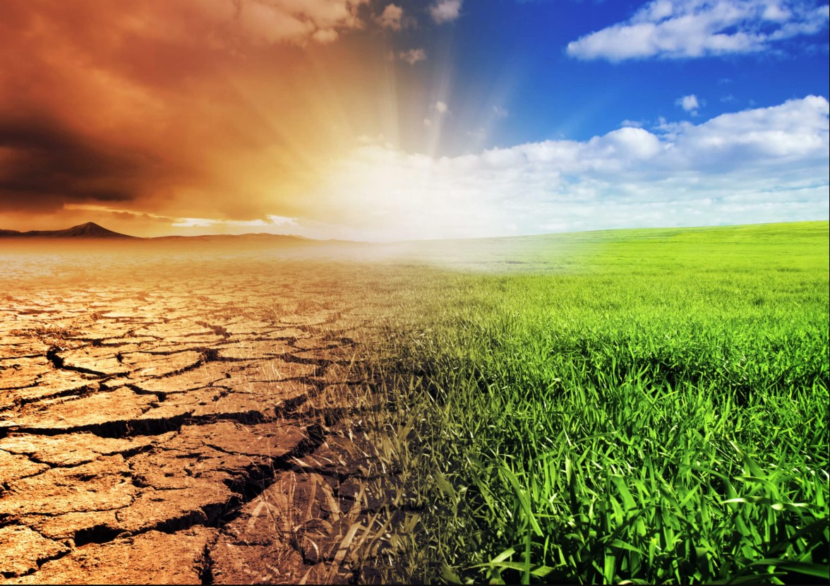 why does India have a monsoon type of climate