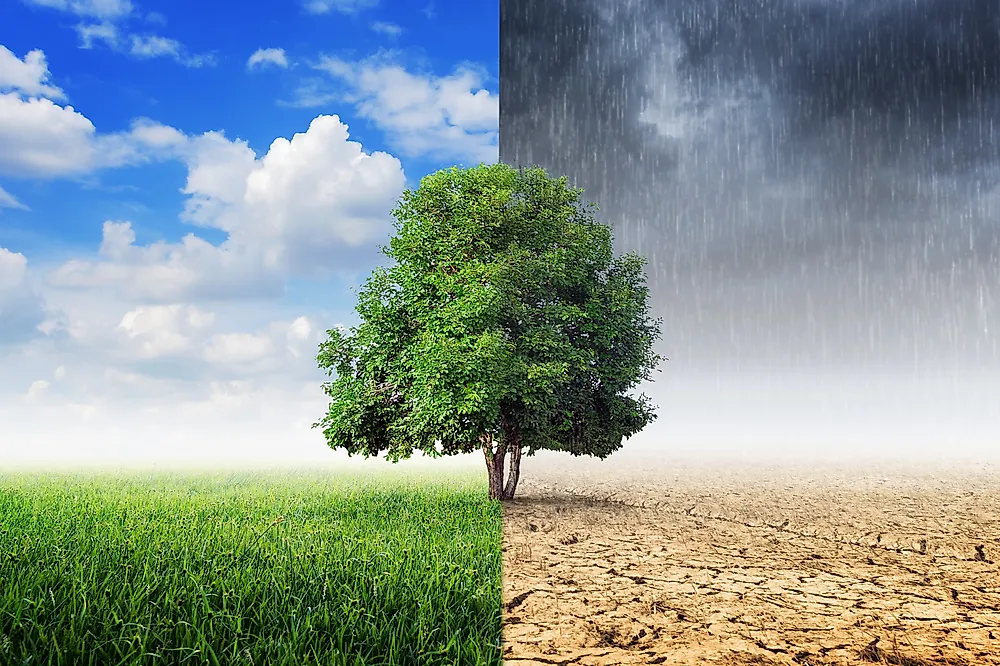 what is the difference between weather and climate